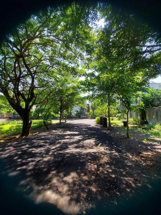 Destination A1 32 Villa Neral Dış mekan fotoğraf