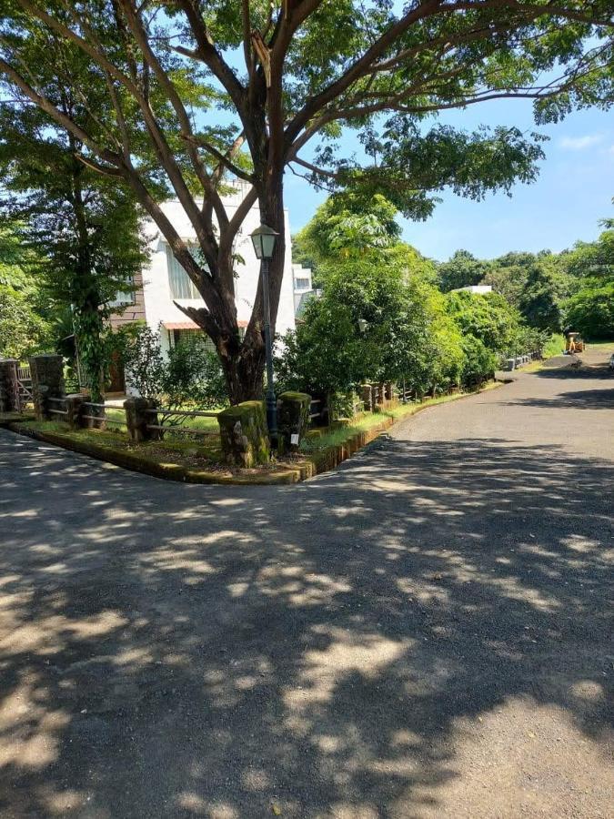 Destination A1 32 Villa Neral Dış mekan fotoğraf